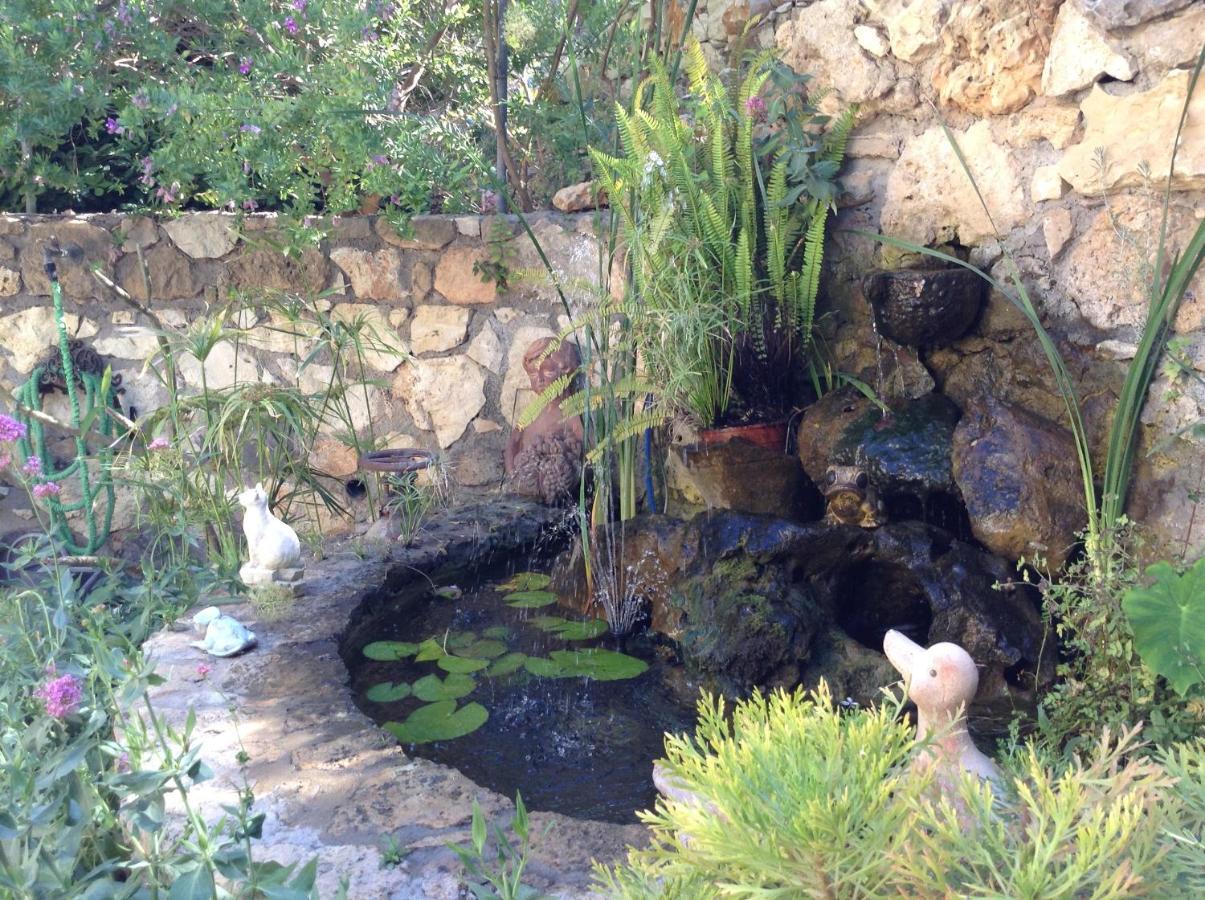 Olive House Traditional Villa With Pool 锡蒂亚 外观 照片