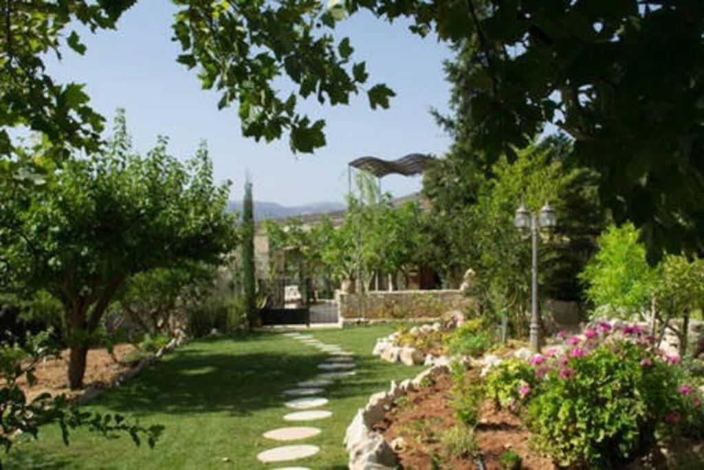Olive House Traditional Villa With Pool 锡蒂亚 外观 照片